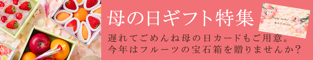 母の日遅れてごめんね