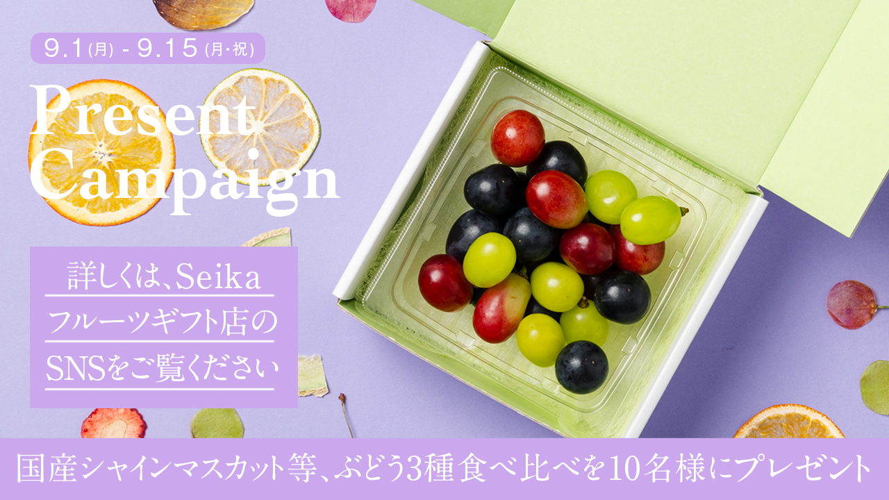 秋の味覚、3色食べ比べを楽しめるぶどうギフトが新発売です