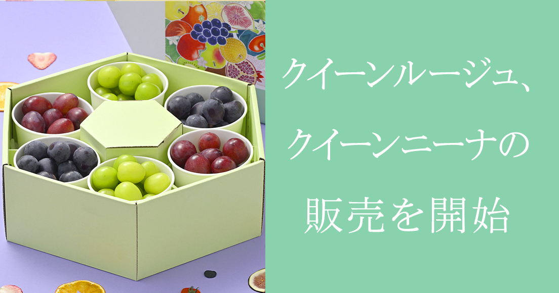 クイーンルージュ、クイーンニーナ