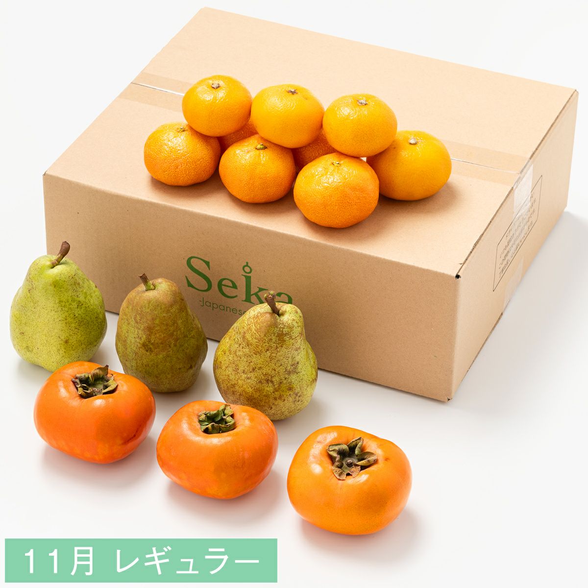 たべごろフルーツ定期便 レギュラーコース6カ月継続プラン（4,780円×6