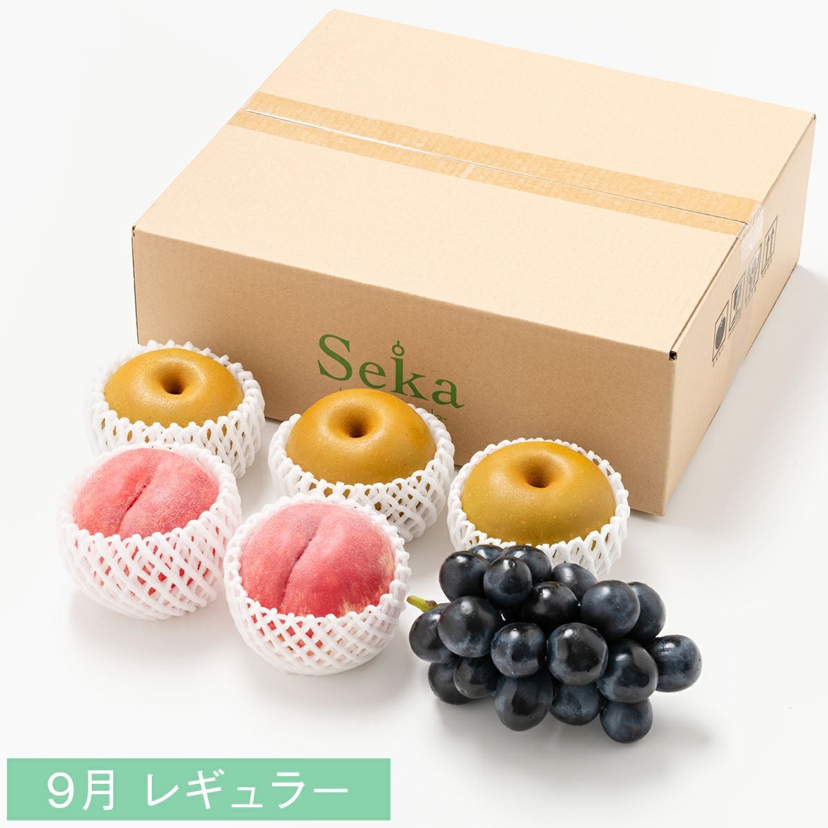 たべごろフルーツ定期便 レギュラーコース6カ月継続プラン（4,780円×6
