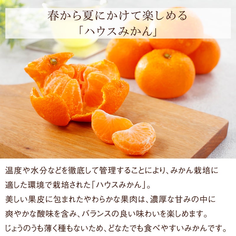 のし・メッセージカード