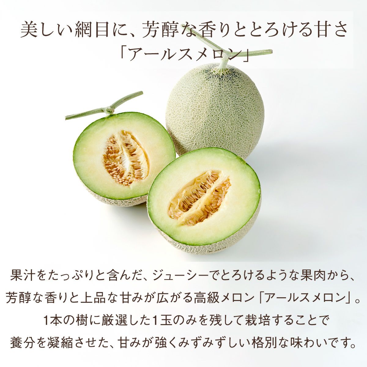 国産 アールスメロン（1玉）｜Seika（せいか）国産フルーツギフト専門店