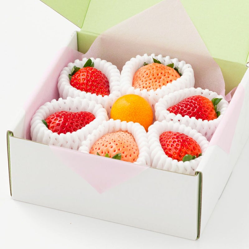 旬の国産紅白いちごの食べ比べと金柑のありがとうギフト
