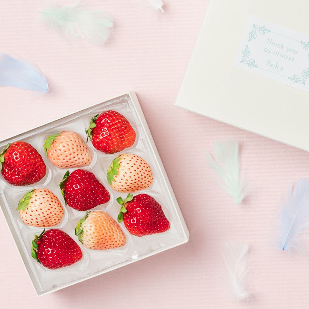 旬の国産紅白いちごの食べ比べ ありがとうギフト｜Seika（せいか）国産