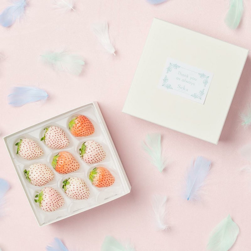 旬の国産白いちごのありがとうギフト