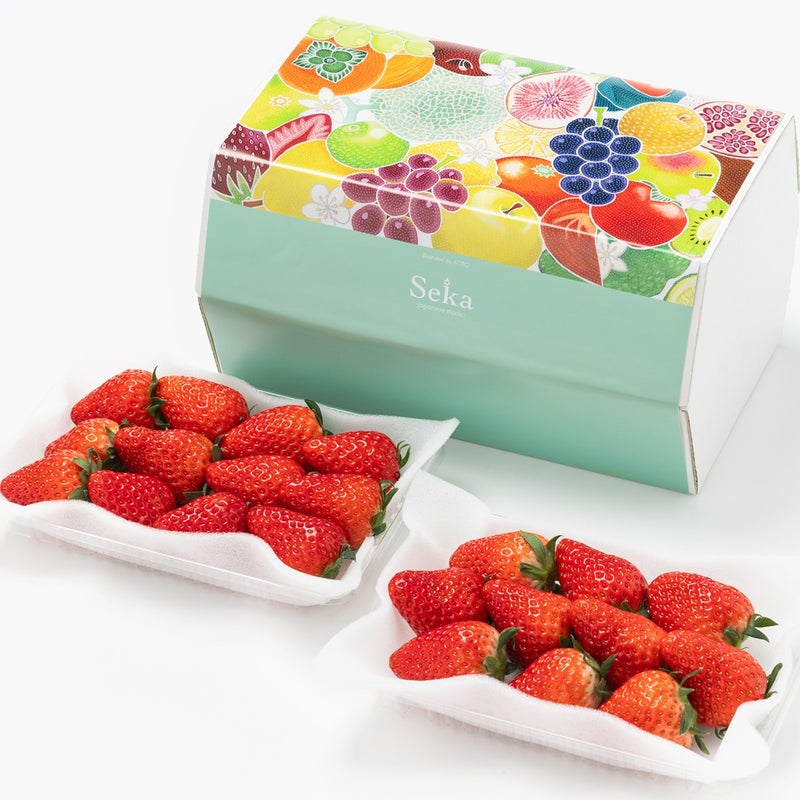 国産 紅ほっぺ いちご（2パック）