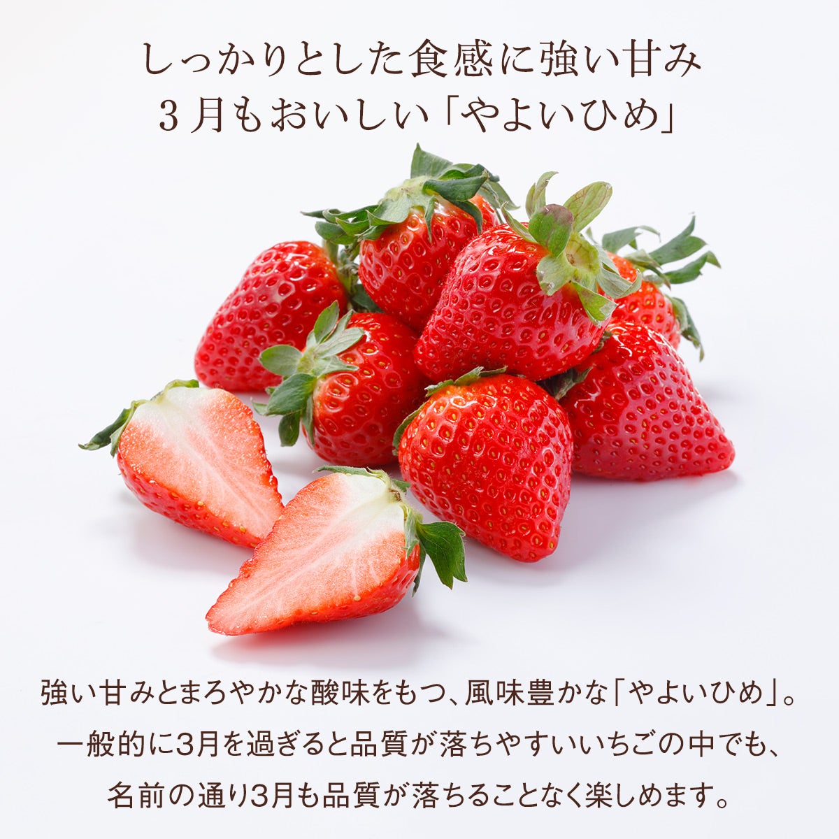 旬の国産赤いちごとさくらんぼ各1種のミニお重セット｜Seika（せいか