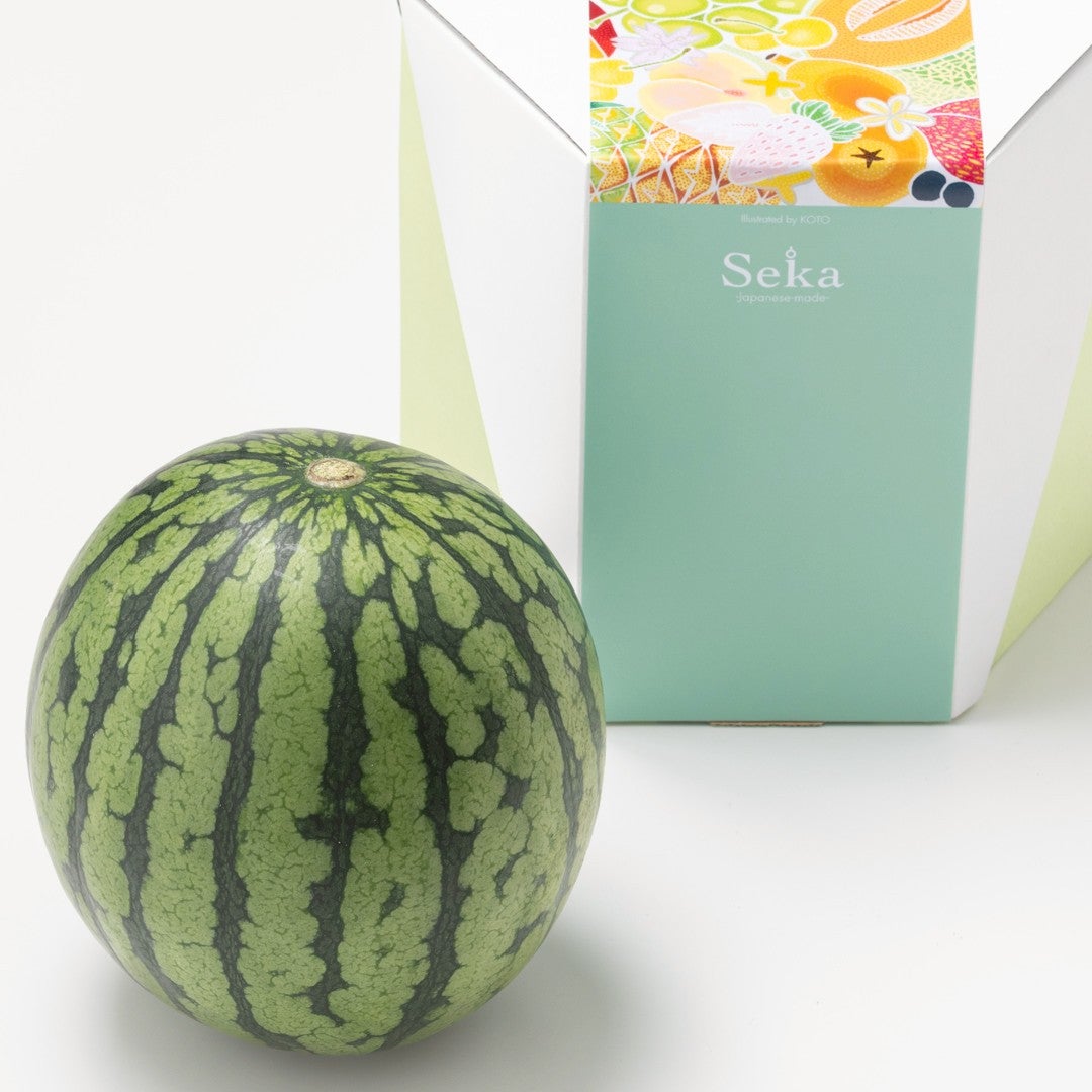 国産 小玉すいか（1玉）｜Seika（せいか）国産フルーツギフト専門店
