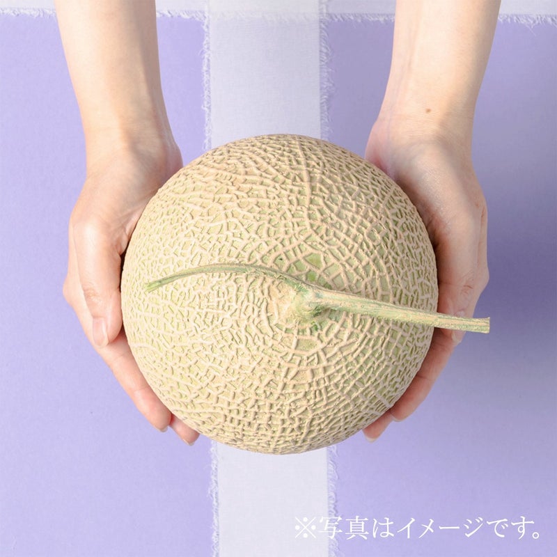 国産 らいでんメロン（1玉）《赤肉（オレンジ）》