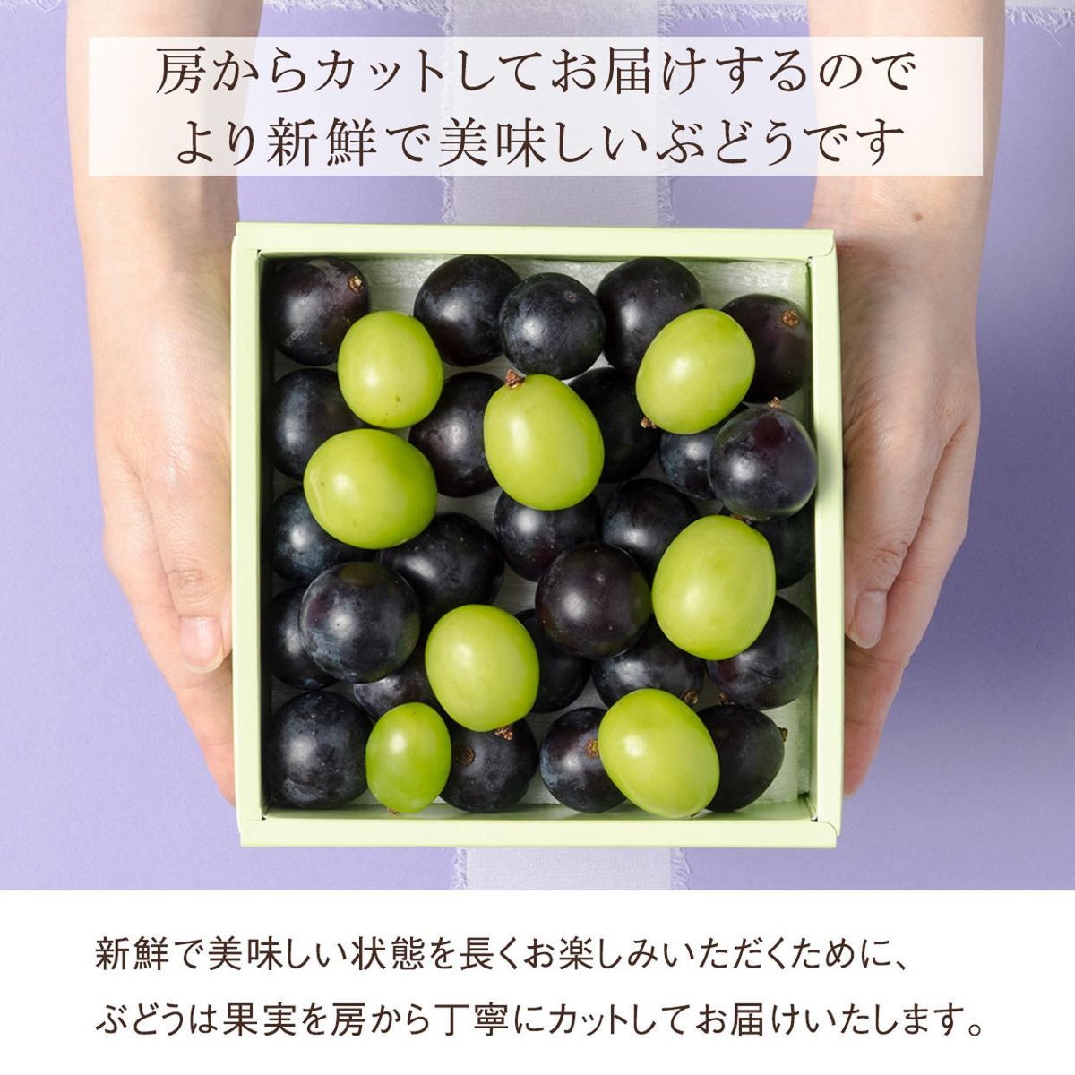 ぶどうイメージ