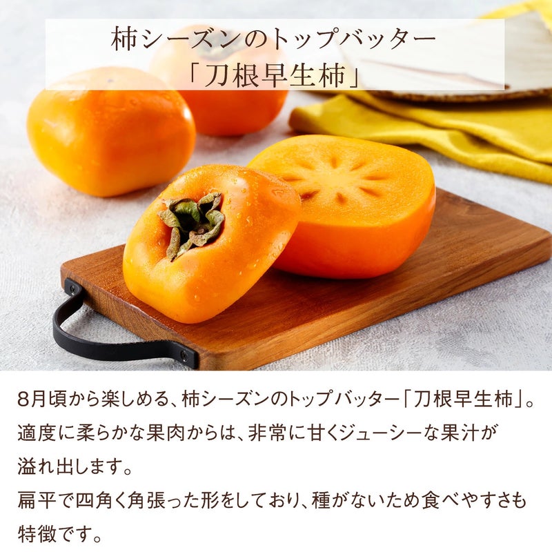柿詳細