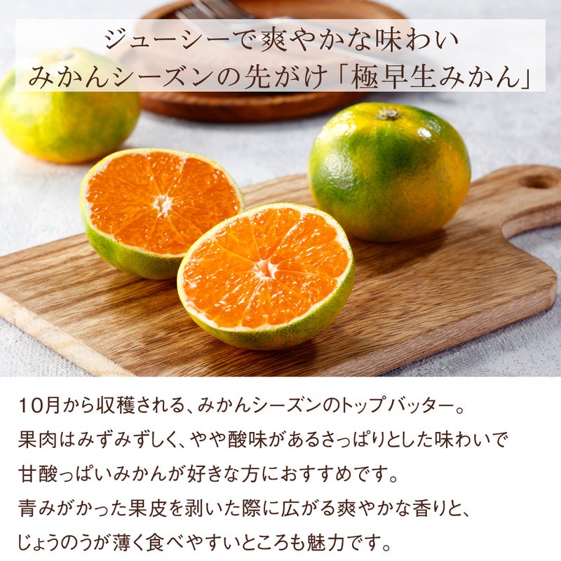 ハウスみかん詳細